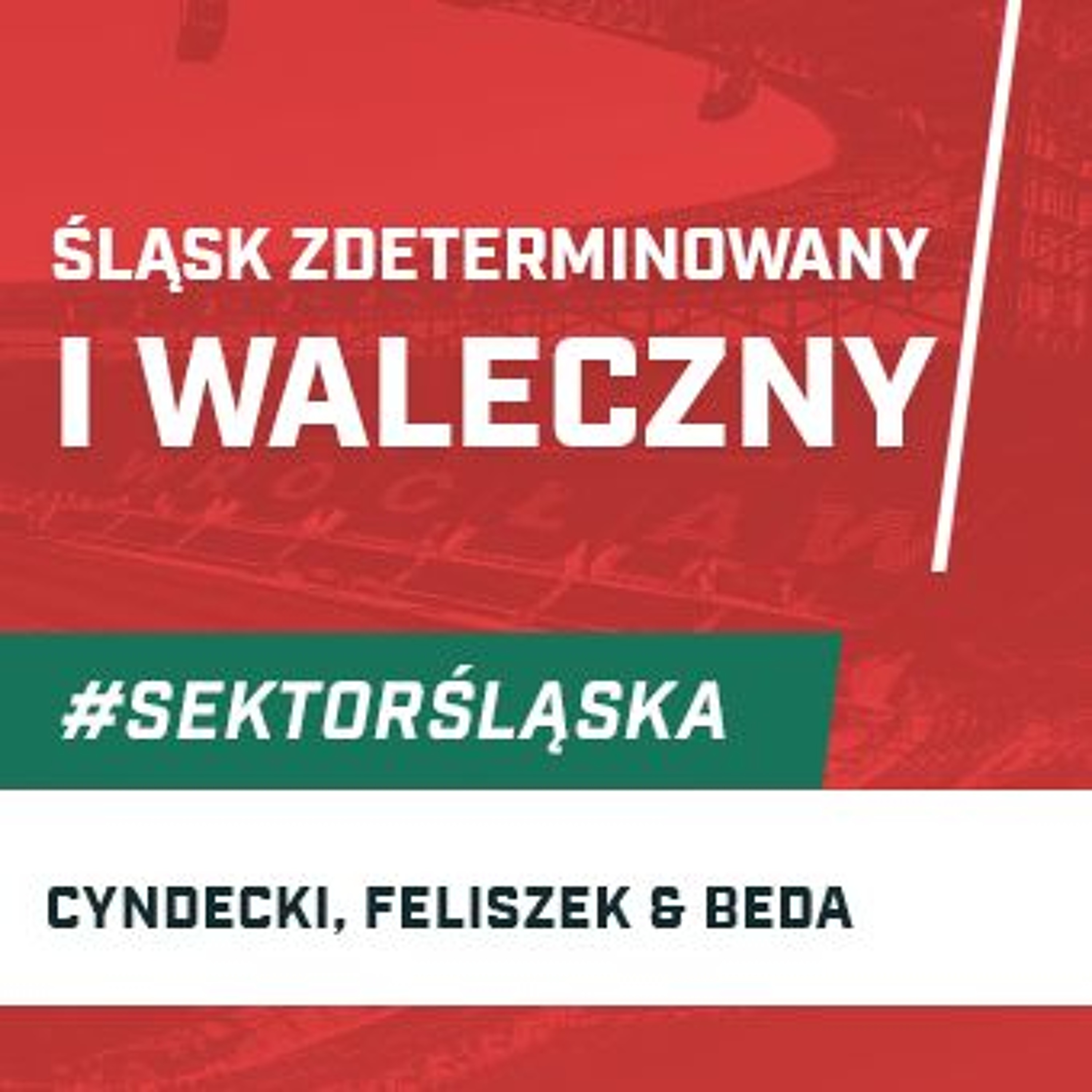 Śląsknet