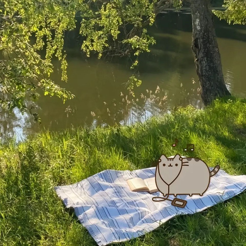 probuje cb znalezc
