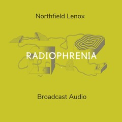 The Wooden Magnet  - A Radio Play (2020 Radiophrenia Broadcast)