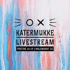 SKALA @ Holzmarkt 25 Katermukke Live!  27.03.2020