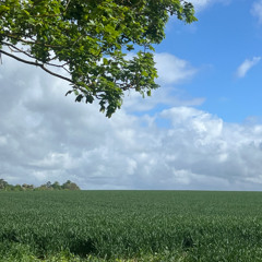 High Elms Radio Show - No 8 - The best in Progressive & Deep House