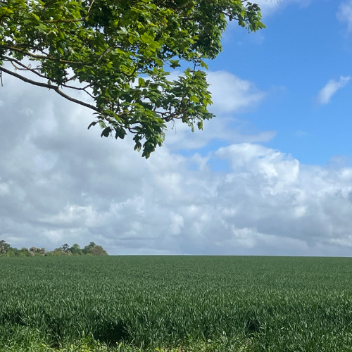 High Elms Radio Show - No 8 - The best in Progressive & Deep House