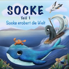 Eine Sternschnuppe fällt vom Himmel