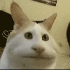 yes