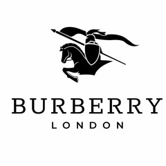 burberry(prod.warheart)