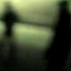 sickofitall faerskinn demo/wisp flip
