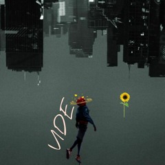 Marcnick - Vide