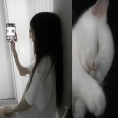 i got what u want 🙂