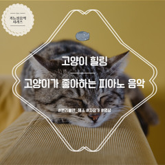 쇼팽 녹턴 Op.62 No.2 (고양이 자장가) Chopin - Nocturne, Op. 62 No. 2 (Cat lullaby)