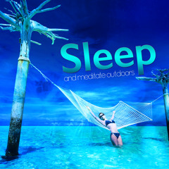 A Feather Falls into the Stream