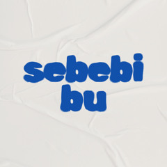 sebebi bu