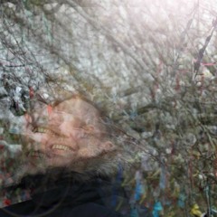 Dead Stop / 10.12.21