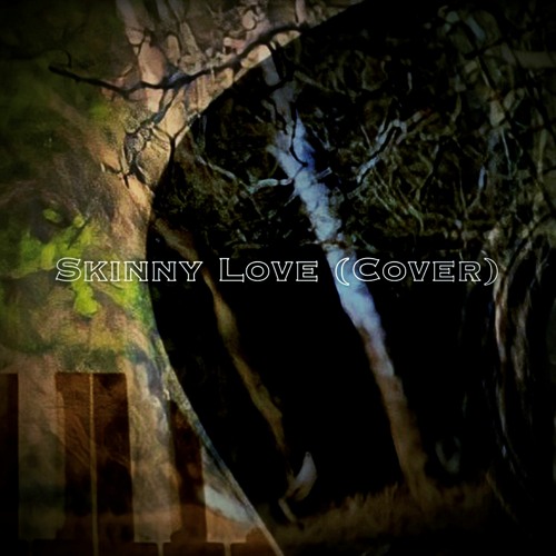 Skinny Love (Instrumental Cover)