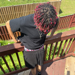 did what i did (prod. smxkey stunna)