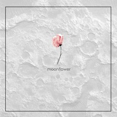 Moonflower (feat. NeM5 & NARO) [AVAILABLE ON SPOTIFY]