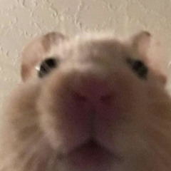 Latina Mommy (project 22117)