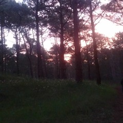 the beast in the forest #FORMTOBER2020 day 3-4