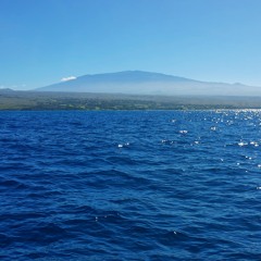 Humpback Whale Song Mixed Hawaii Kohala 2024 Tom B