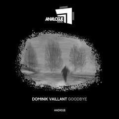 Dominik Vaillant - Goodbye (Superstrobe Remix)