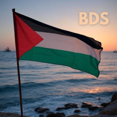 BDS - Sea of Solidarity