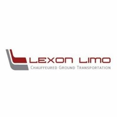 Why Do You Need To Hire A Professional Airport Transportation Service For Your Business Trip