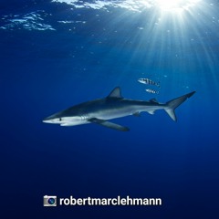 UpcycledJacke (prod. 7ONE)