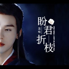 Chẩm Thán | 怎叹