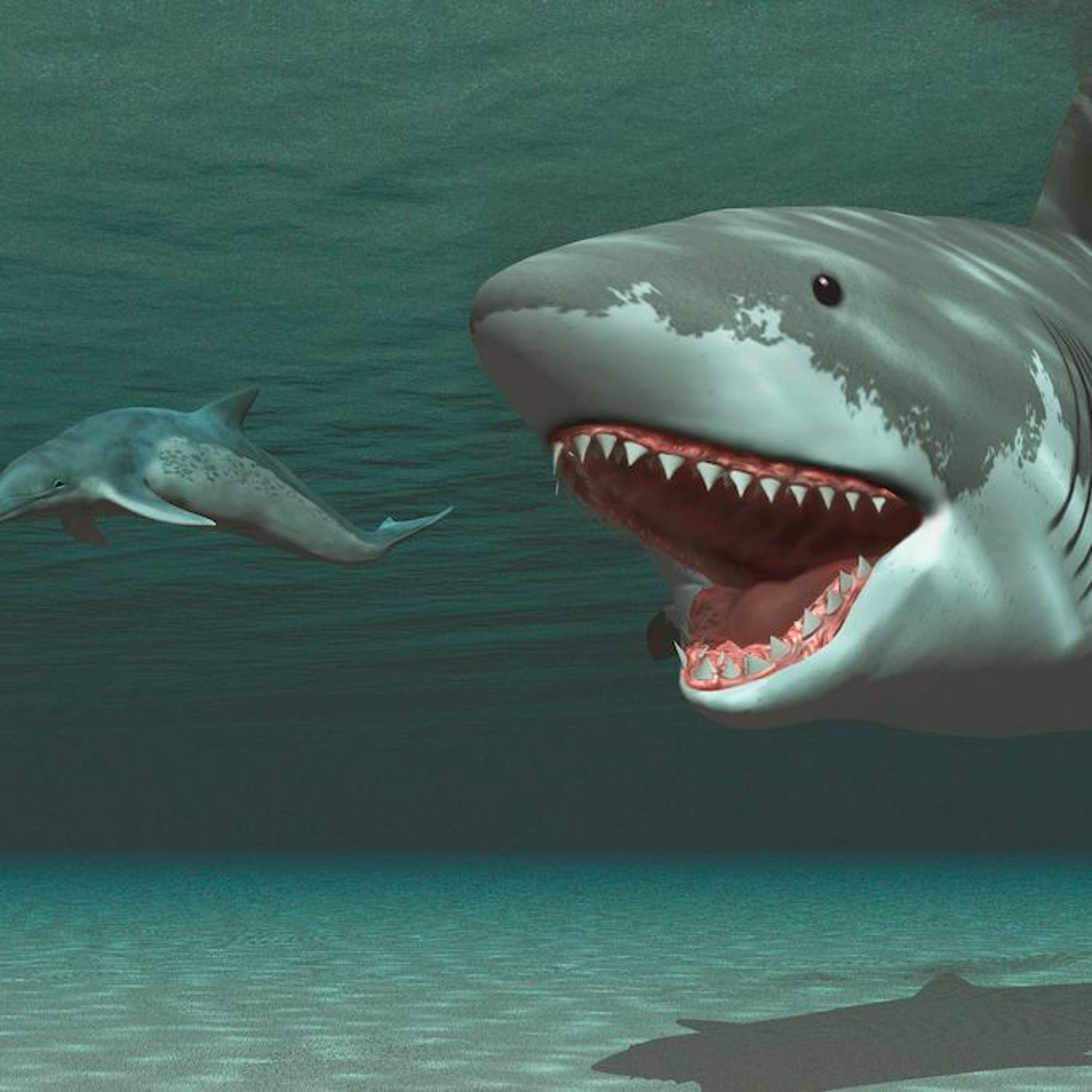 Astronomie - En route vers les etoiles