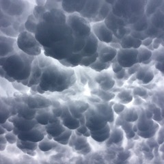 Mammatus