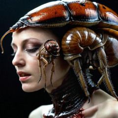 Addictive Love and Touch