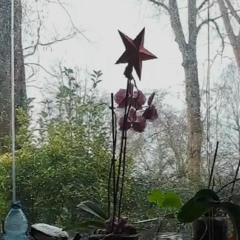 Dreamy Nasty Woman Improvising on the Piano