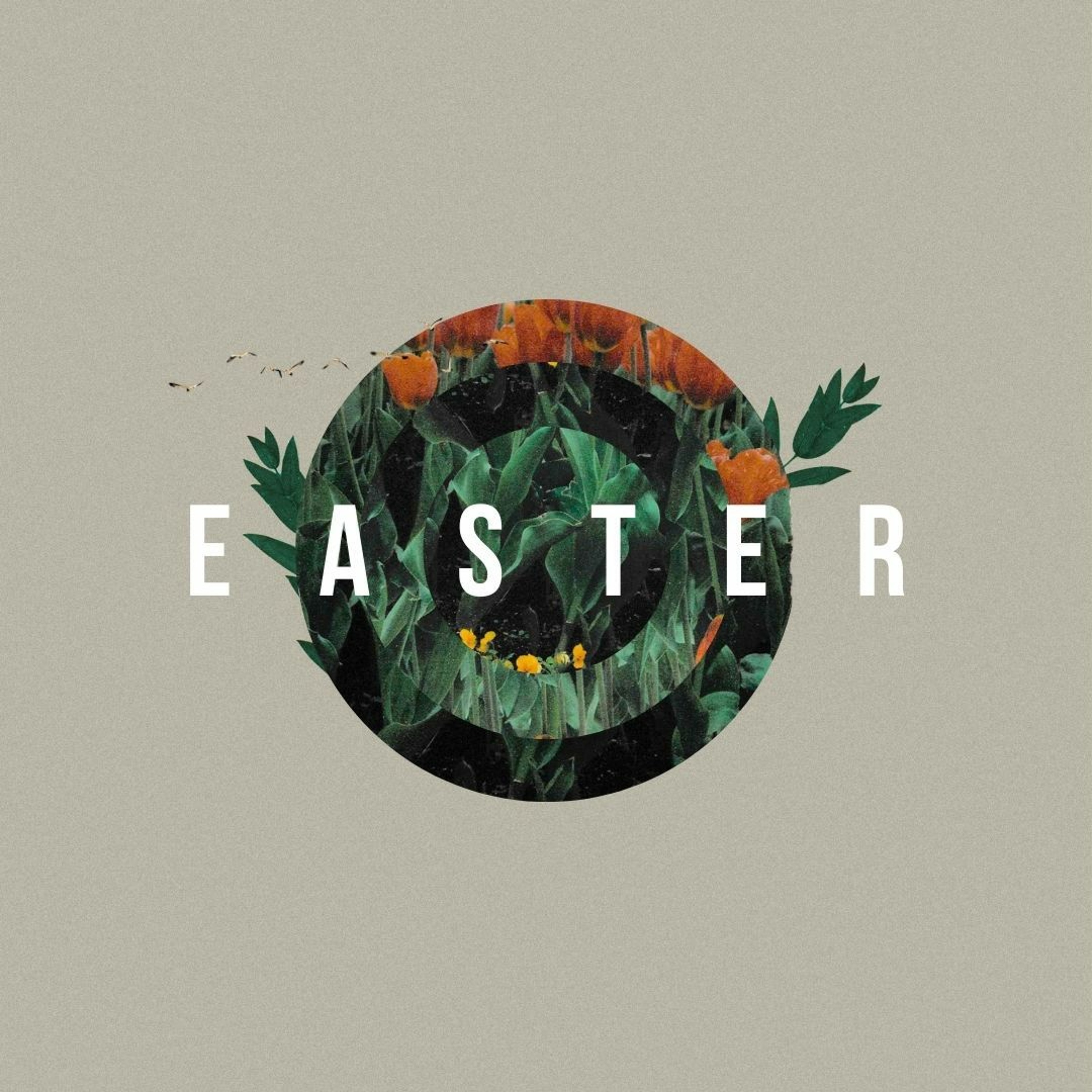 Easter Sunday - John 20:1-31 - Mark Roberts - 31.03.24 episode artwork