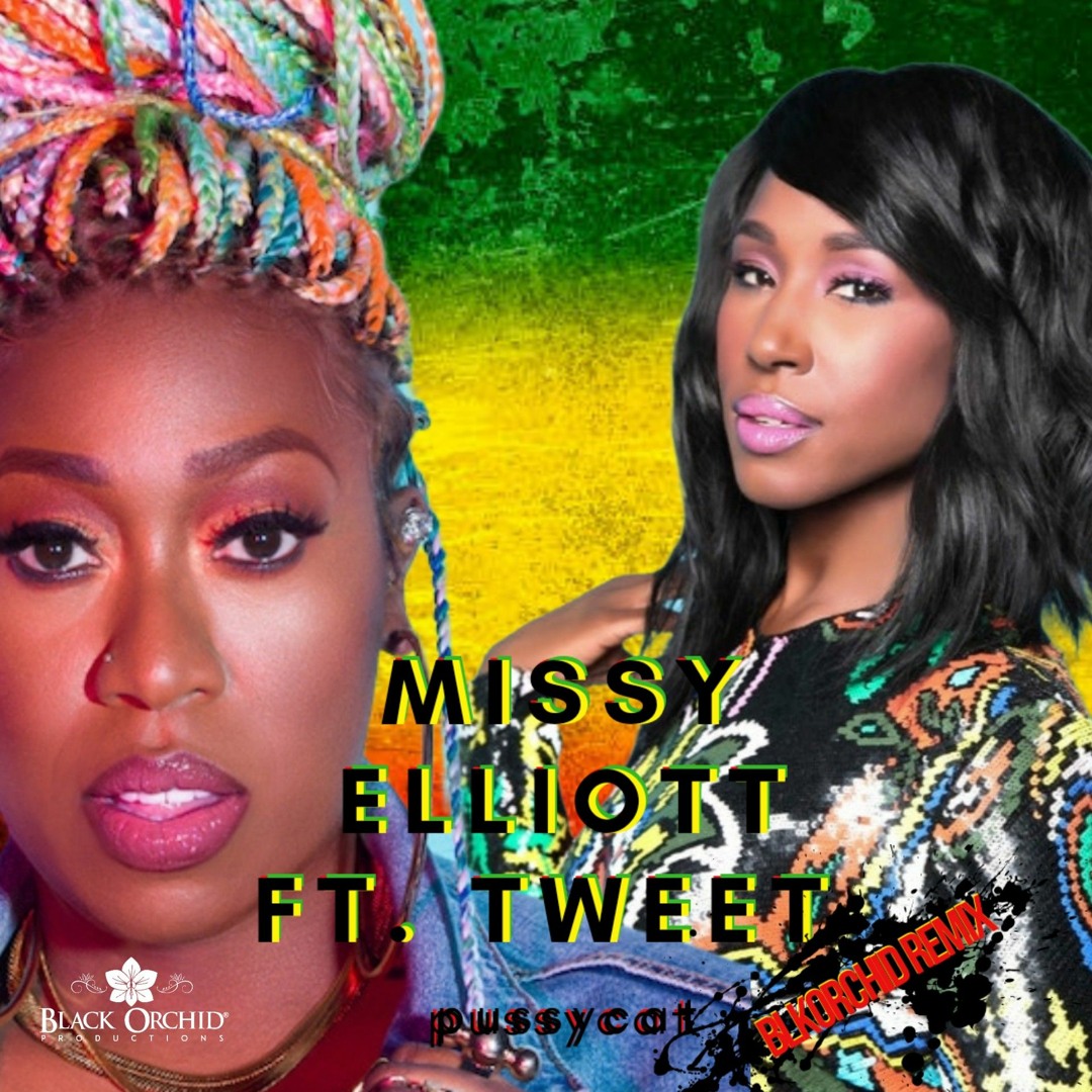 Stream Missy Elliott ft. Tweet - Pussycat (BlkOrchid Remix) by Blk