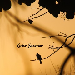 Grow Sparrow