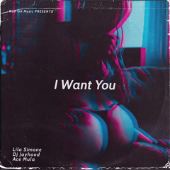 I Want You - Lila Simone feat. DJ Jayhood