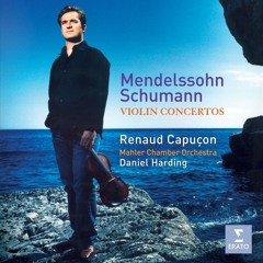 Violin Concerto in E Minor, Op. 64, MWV O14: II. Andante