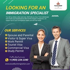 Business Visa Consultants in Canada: Your Gateway to Success with Excalibur Immigration