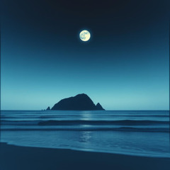 By the Moonlight