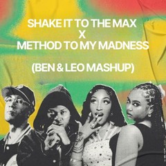 Shake it to the max x Method to my madness (BEN&LEO MASHUP)