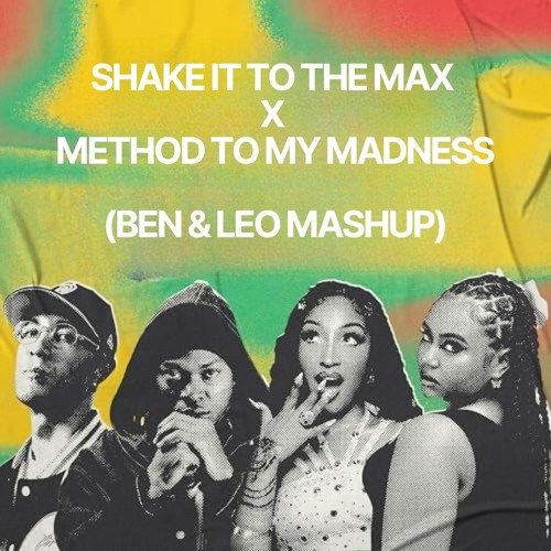 Shake it to the max x Method to my madness (BEN&LEO MASHUP)
