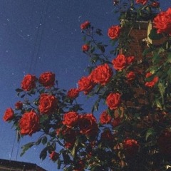 Call out my name - (Phazeuniverse Cover)