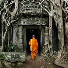 Deep Into Jungle