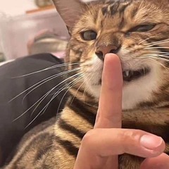 cơn mơ màng theo làn gió cuốn em đi - Khuôn mặt đáng thương remix tiktok