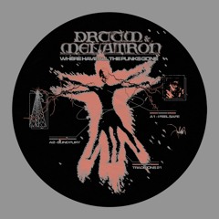 A2  Druum & Melatron - Blind Fury