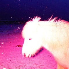 In The Club <3 High On BRITPOP