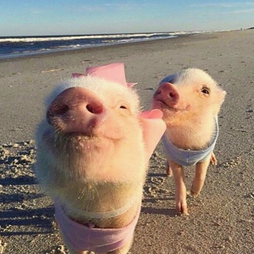 Methods Of Mellow - March 2022