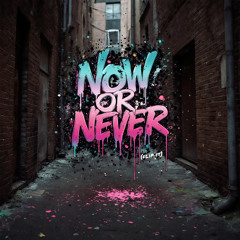 Now Or Never (flip it!) [Extended Mix]