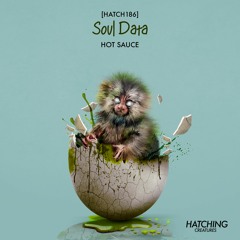 Soul Data - Siluetas (Original Mix)