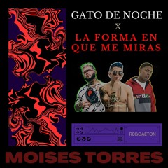 Bad Bunny, Myke Towers, Lenny Tavarez, - Gato De Noche x La Forma En Que Me Miras (MT Mashup)