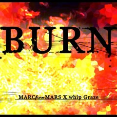 Burn produced by whip Graze